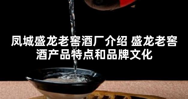 凤城盛龙老窖酒厂介绍 盛龙老窖酒产品特点和品牌文化